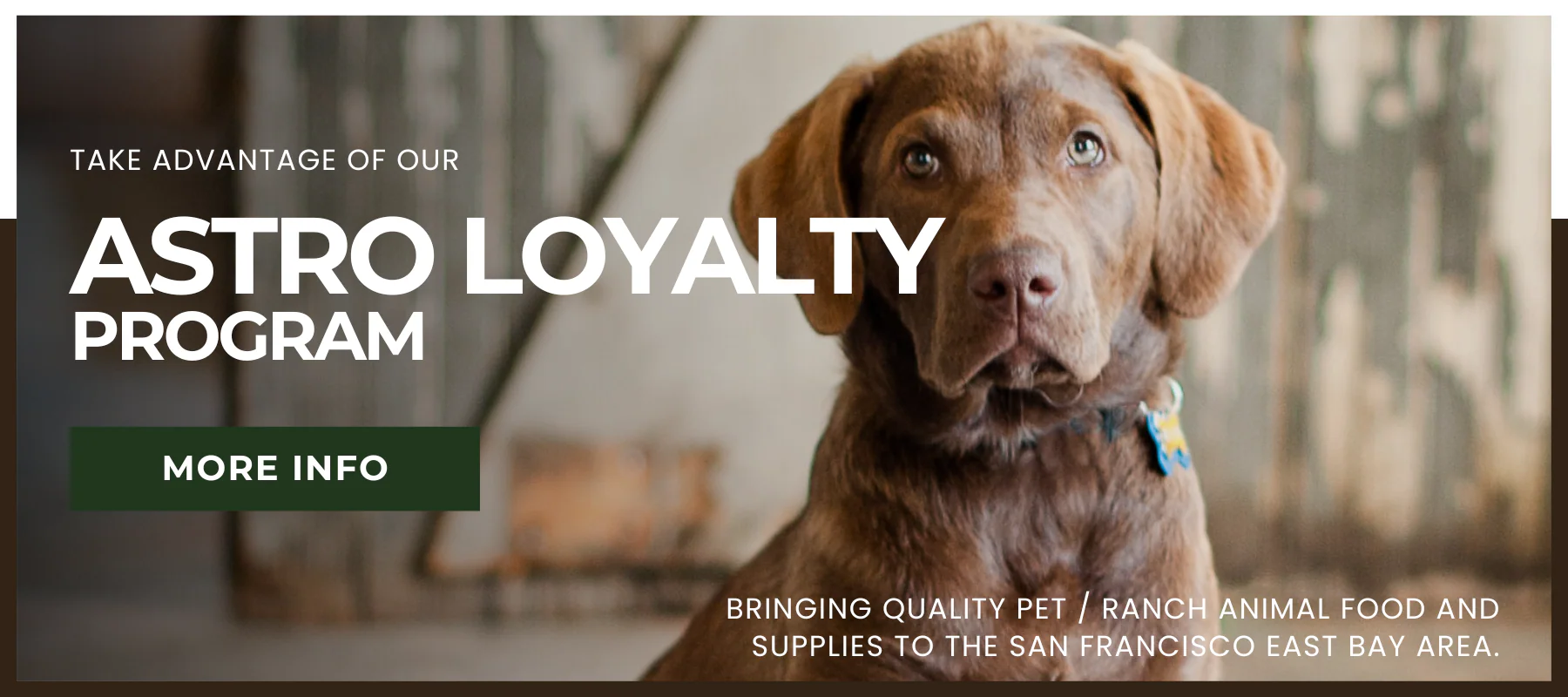 Premium Care for Every Animal